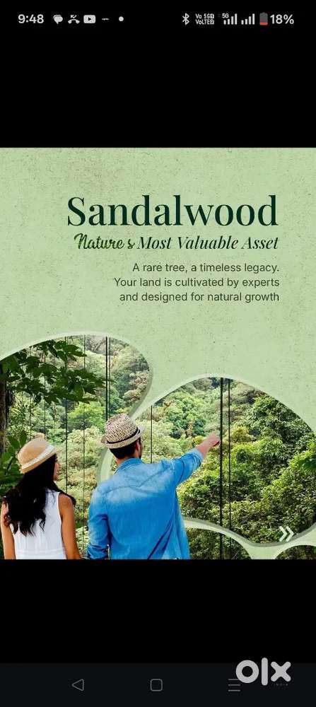 Sandal wood fram Plot for sale