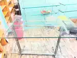 Garments glass racks and showcase table