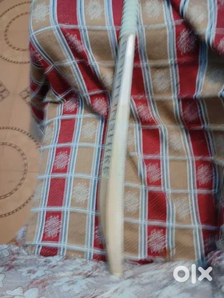 Cricket bat