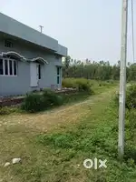 106 गज प्लॉट राजा वाला रोड सेलाकुई
24000 रुपए प्रति गज