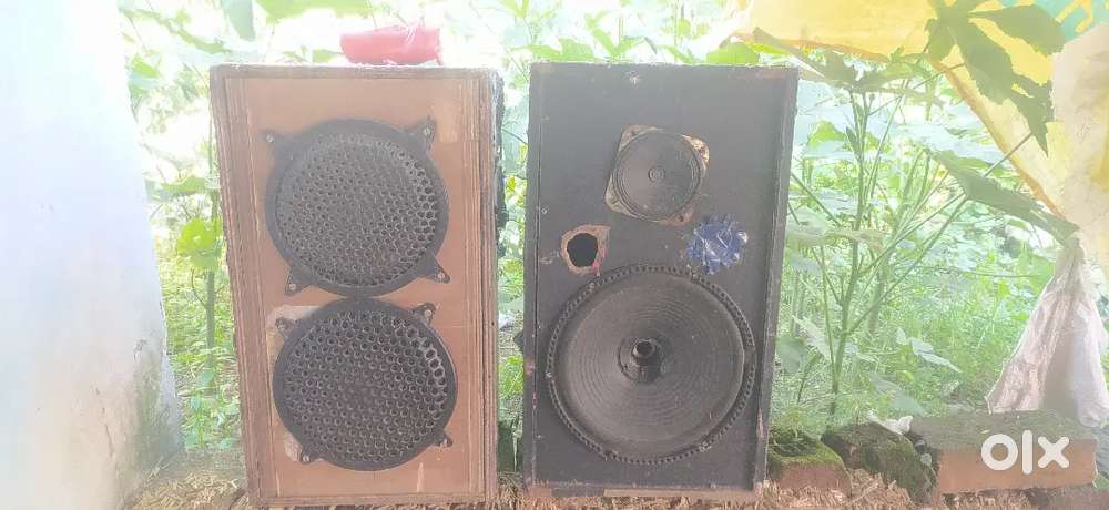 Sound Box hifi woofer