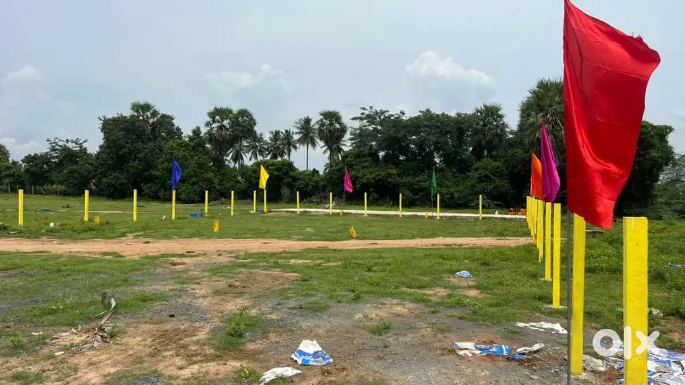 Low Budget Guduvanchery Dtcp plots sale