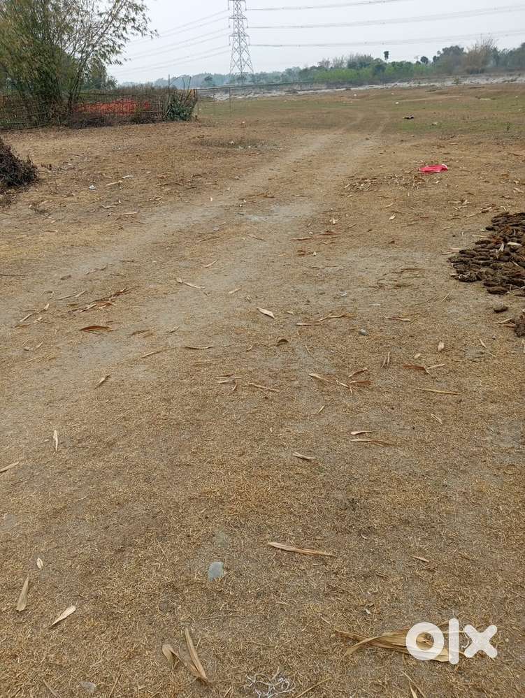 Tribal land 2 Bigha sale in Khoribari, Dudha