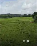 64 guntho  banda Highway touch area