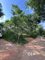 96 Cent Rubber Plot For Sale – Ezhekal, Tharuvana, Wayanad