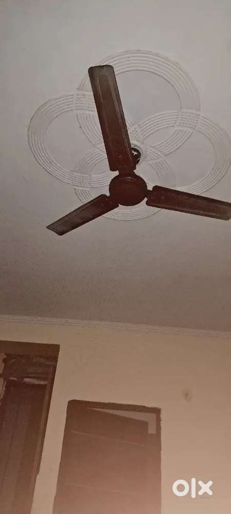Need 1 Roommate (Male)