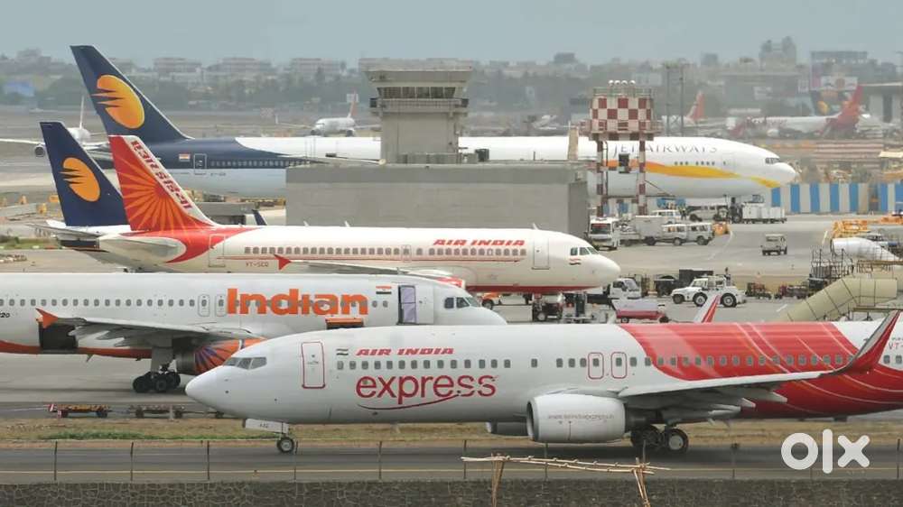 Airport Ground Staff & Cabin Crew Vacancy Interview Going for Freshers