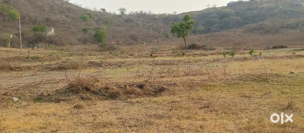 Plot for sale in low cost