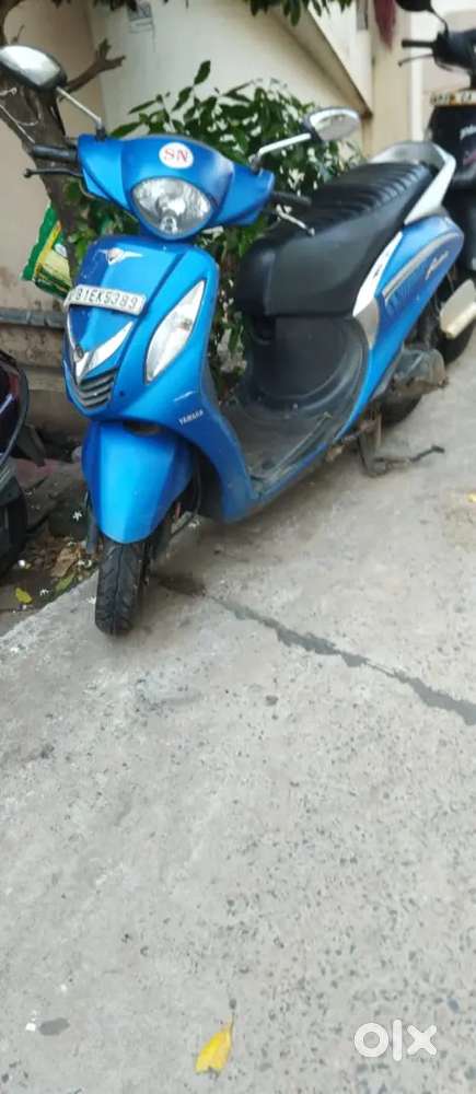 Fassino in condition good