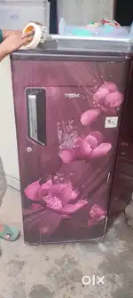 Single door fridge with warranty and good condition