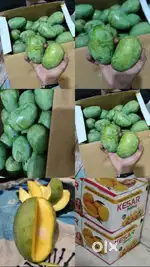 Kesar keri mango (કેસર કેરી)
