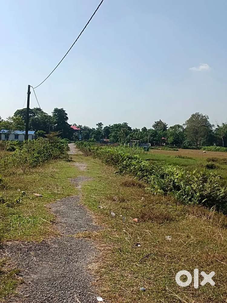 3 katha registry land (700000/- per katha ) urgent sale