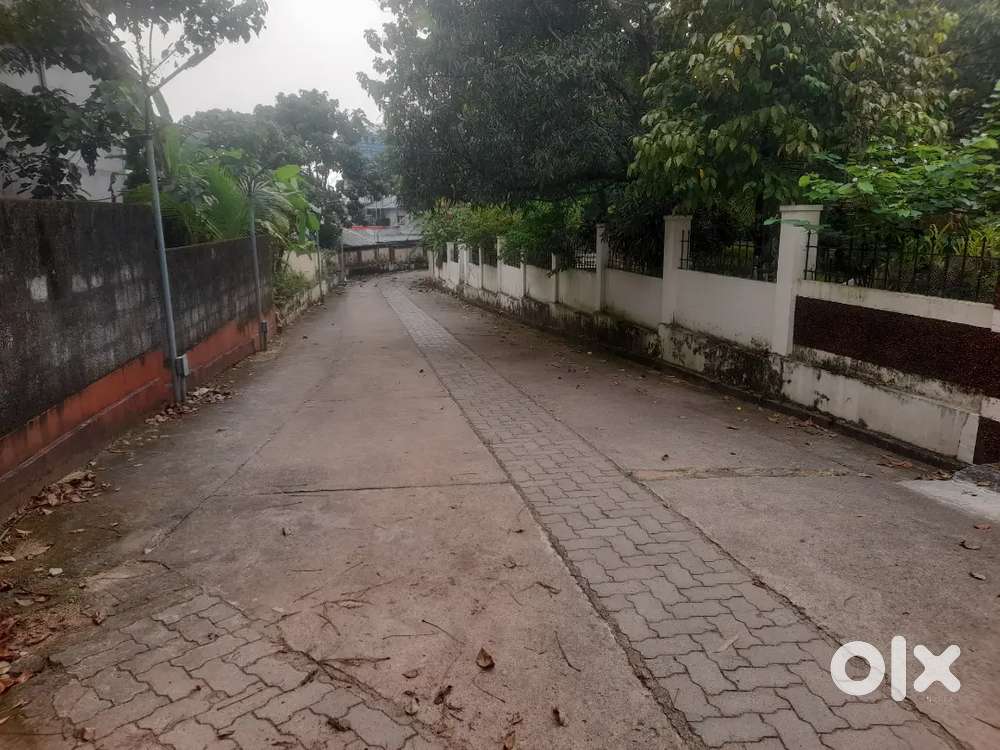 Trikakkara sea port road 31cent residential plot for sale