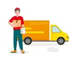 Van delivery executive