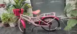 Hero Sundancer Model Bicycle