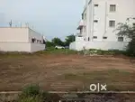 33 Ankanam plot for sale in prime area Dhanalakshmipuram KGK backside