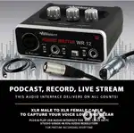Wright SoundMaster WR 12