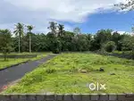 6 cent Premium House Plot at ANGAMALY