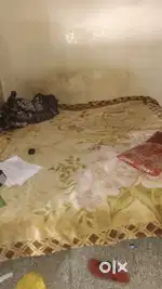 3000/ independent room h roommate chahiye