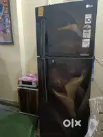 Lg double door