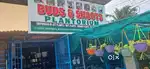 Gift  plants/set plant/indoor plants @ Buds&shoots, Choozhampala, TVM.