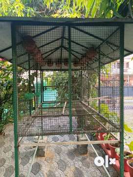 Big cage for birds