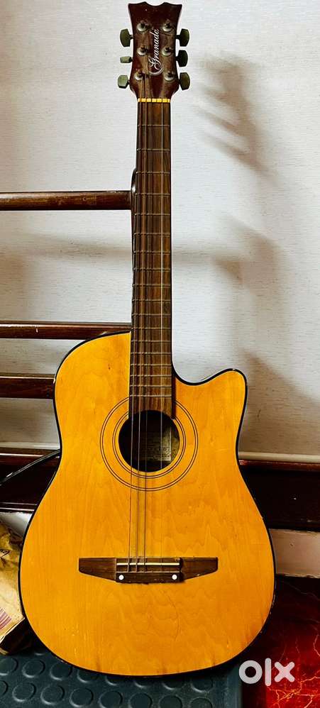 Acoustic Guitar