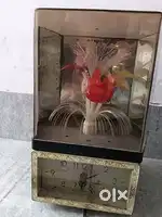Very good condition rotating lights and clock is at working condition