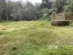 Kottayam മഞ്ഞൂരിൽ 20 സെന്റ് house plot