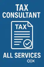 Professional Tax Consultant  ITR GST PAN  MSME Filing