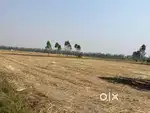 9.2 acre land