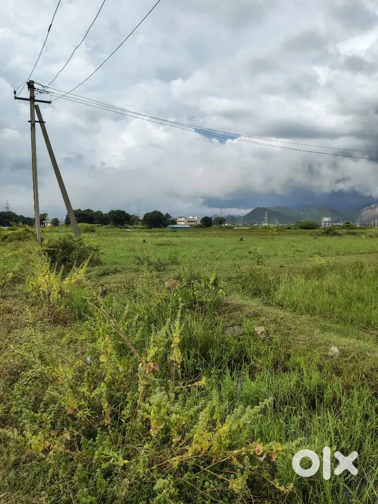 TUMMALAPALEM, near Gollapudi, VIJAYAWADA