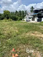 Residential plots for sale (പറമ്പ്) @ Peruvembu