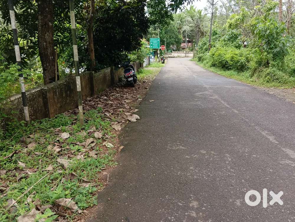 Ernakulam, arakkunnam 10cent plot for sale.