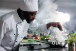 Need cook for cafe in guwahati