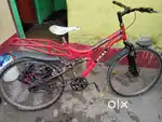 Socer cycle