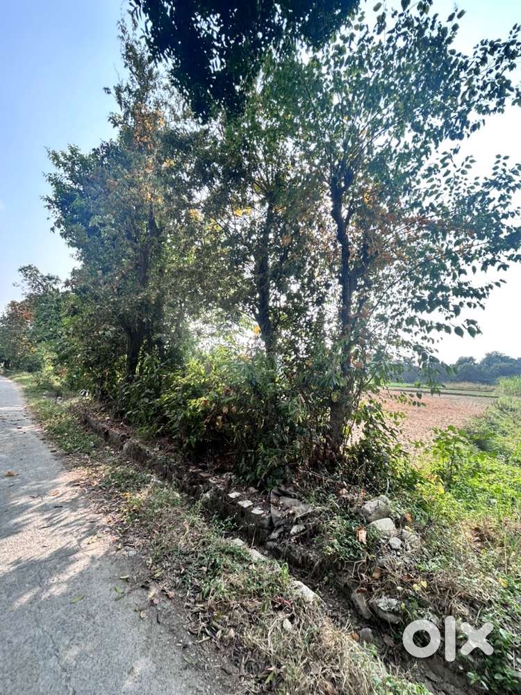 on side pwd road