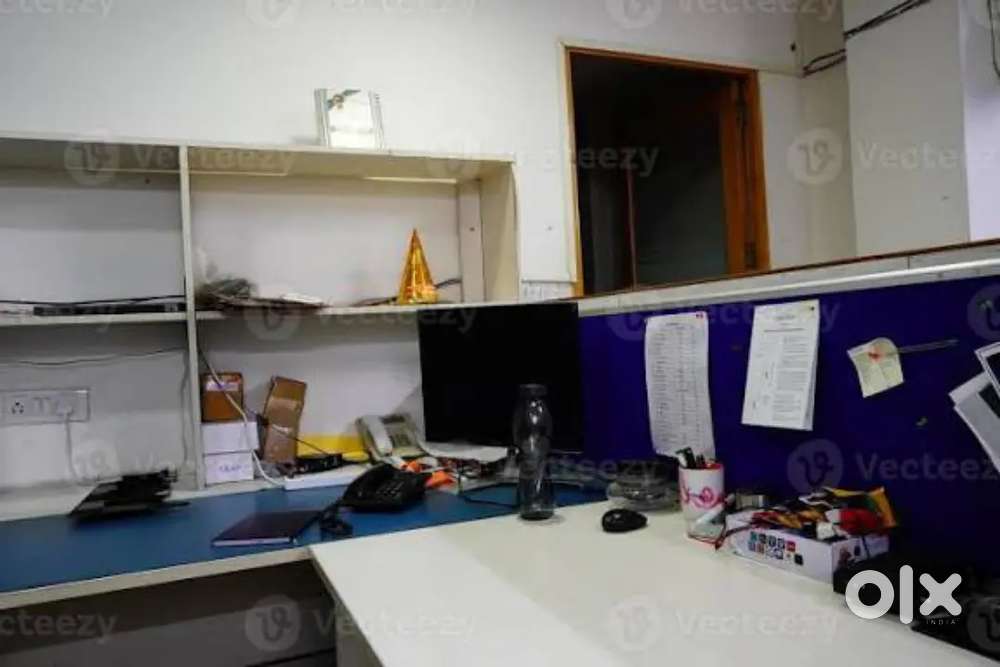 Collection Executive