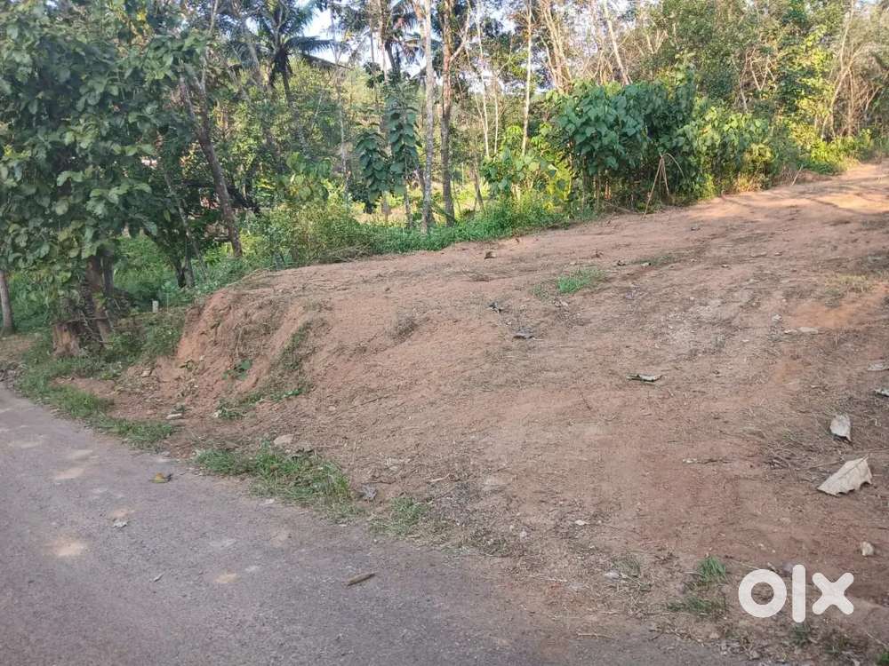 26 cent   land  for sale