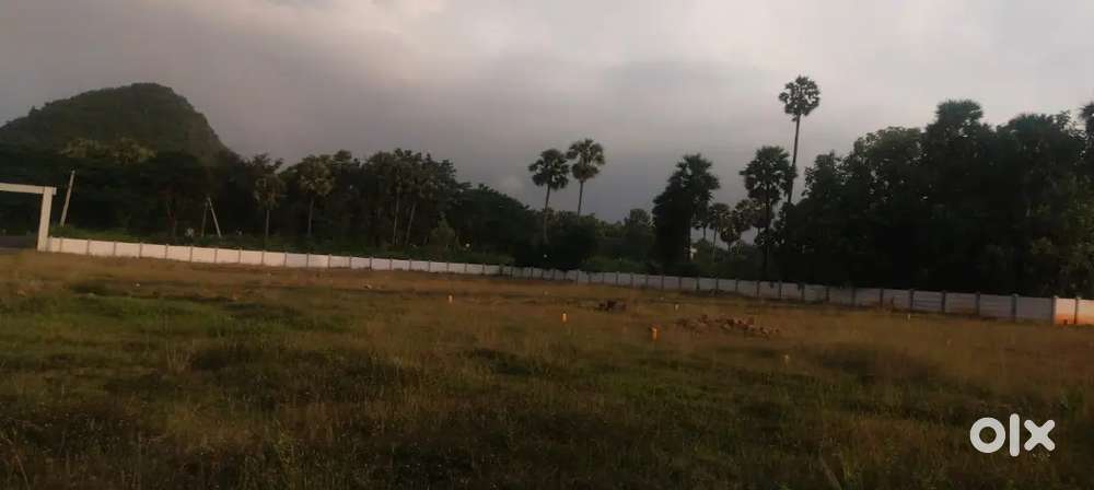 VIZAG TO VIZIANAGARAM HIGHWAY NEAR PLOTS FOR SALE