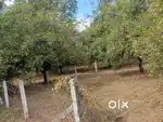7.5 cent House plot for sale near Athani Nedumbassery