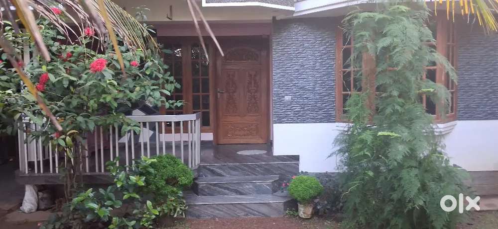 Kalliyoor jn opposite auto stand just 100 meter