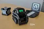 Vector robot with subscription