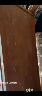 Big Size Pat