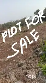 Soro gaj soro