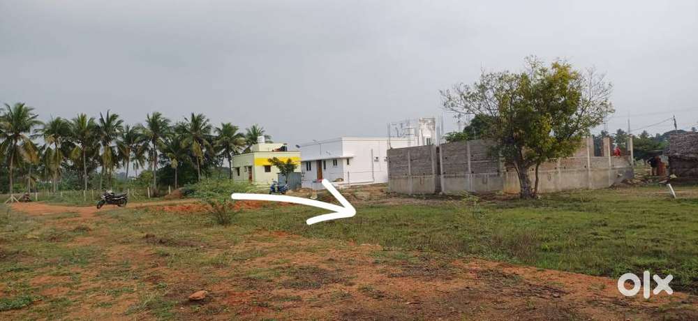 3Km from Woraiyur Fish Market