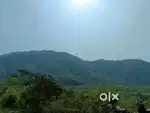 Mountain view plot
