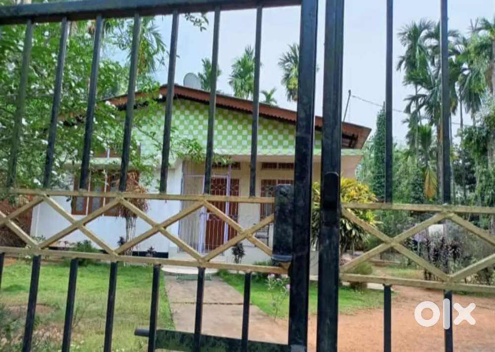 Land with home  ( Annual patta land)