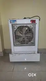 One year old cooler