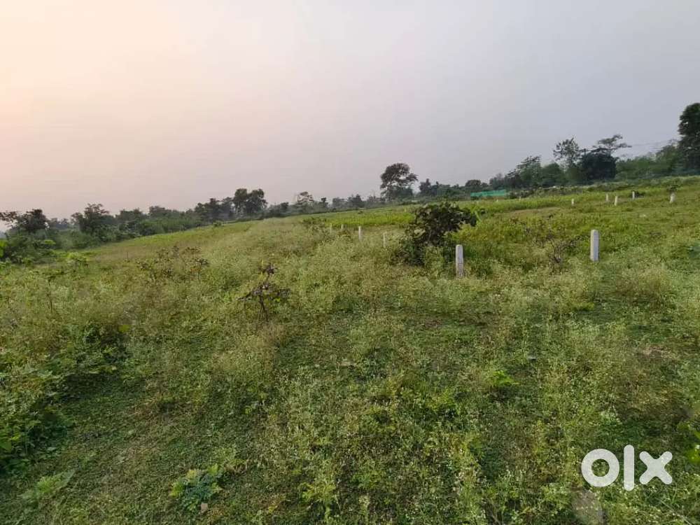 Plot For Sale in Mopka Chillhati